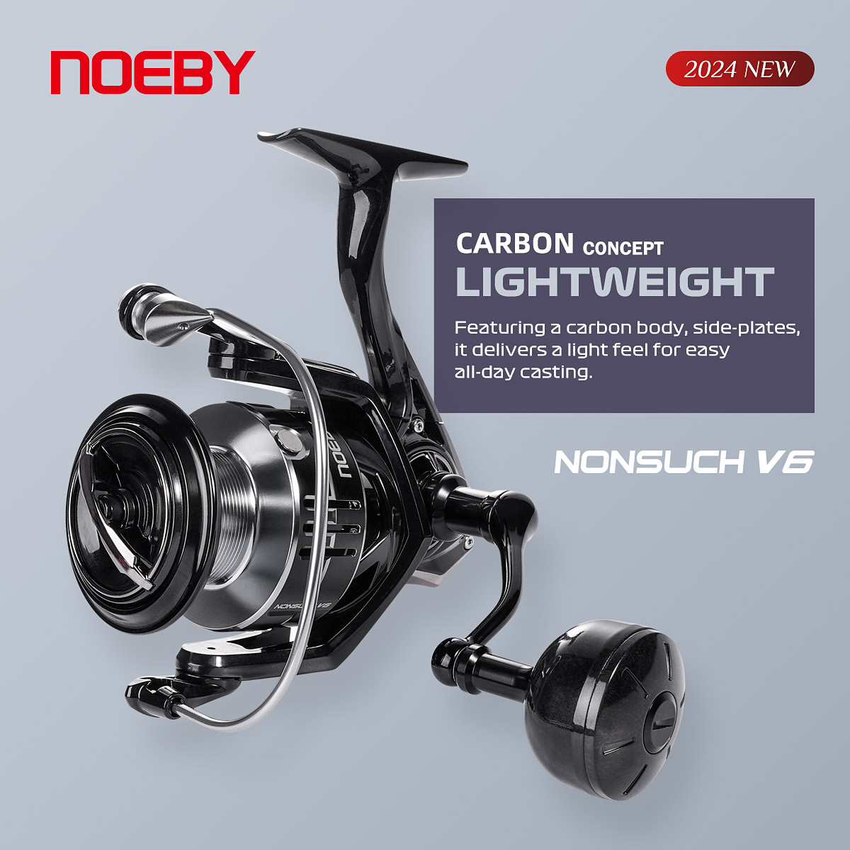 Noeby Carbon Spinning Visserij - Daiwa Reel Bg recensie en prijs